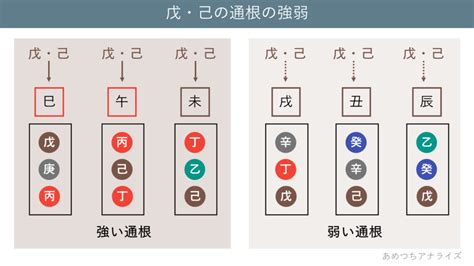 通根|【図解四柱推命】十干と十二支の通根 